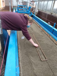 4-Her explores seedling sets in the Roger Clapp Greenhouses