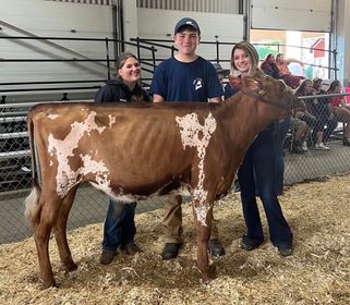 4-Hers posing with a cow
