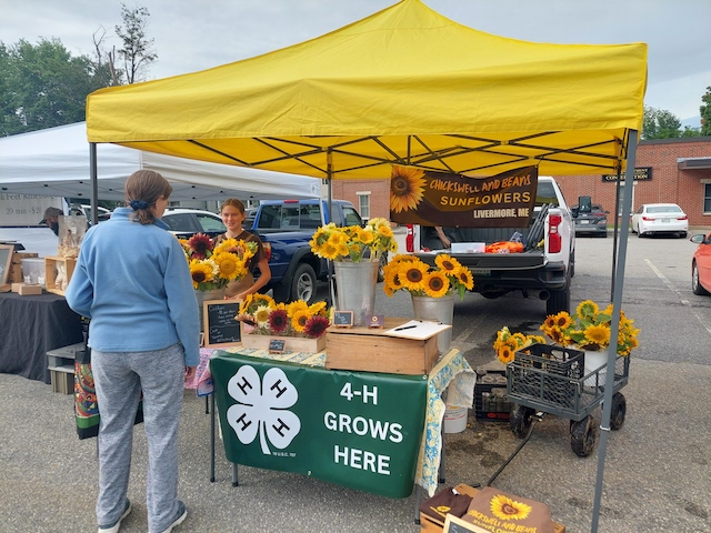 4-H Youth selling sunflowers at Open Air Market