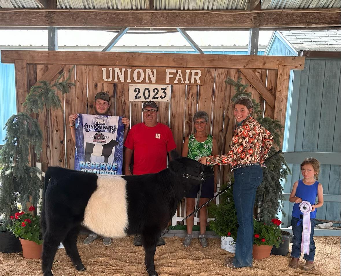 Youth showing cow at fair