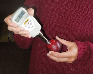 Using a pressure device to pressure testing a plum.