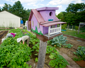 bird house in vegetable garden; photo by Edwin Remsberg