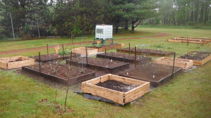 Raised beds by Dennis Connelly