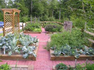raised bed vegetable garden