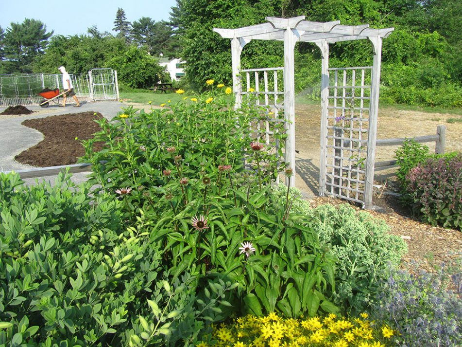 Maine Home Garden News - September 2015 - Cooperative Extension: Garden ...