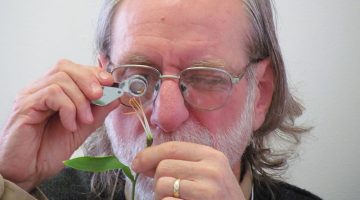 Master Gardener course participant Tony Aman examines the reproductive parts of a flower in Basic Botany.