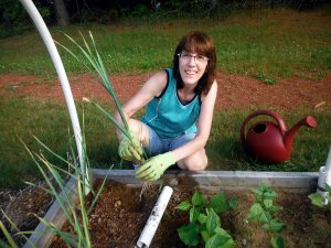gardener planting onions