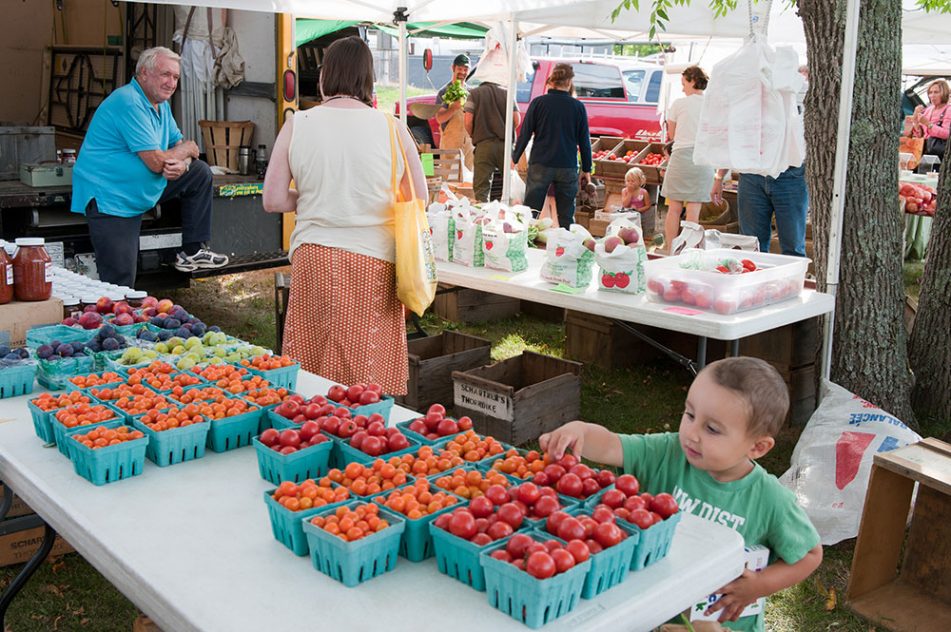 Maine Home Garden News - August 2017 - Cooperative Extension: Garden ...