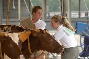 Judge and 4-H'er at the oxen showing at the Skowhegan State Fair