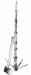 Illustration of a 4- to 6-foot-long stick used for stacking tips. Illustration by Mark A. McCollough.