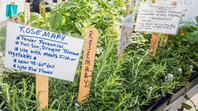 Rosemary, basil, peppermint and assorted herbs on sale by vendors at the U.S. Department of Agriculture (USDA) Farmers Market in Washington, D.C.