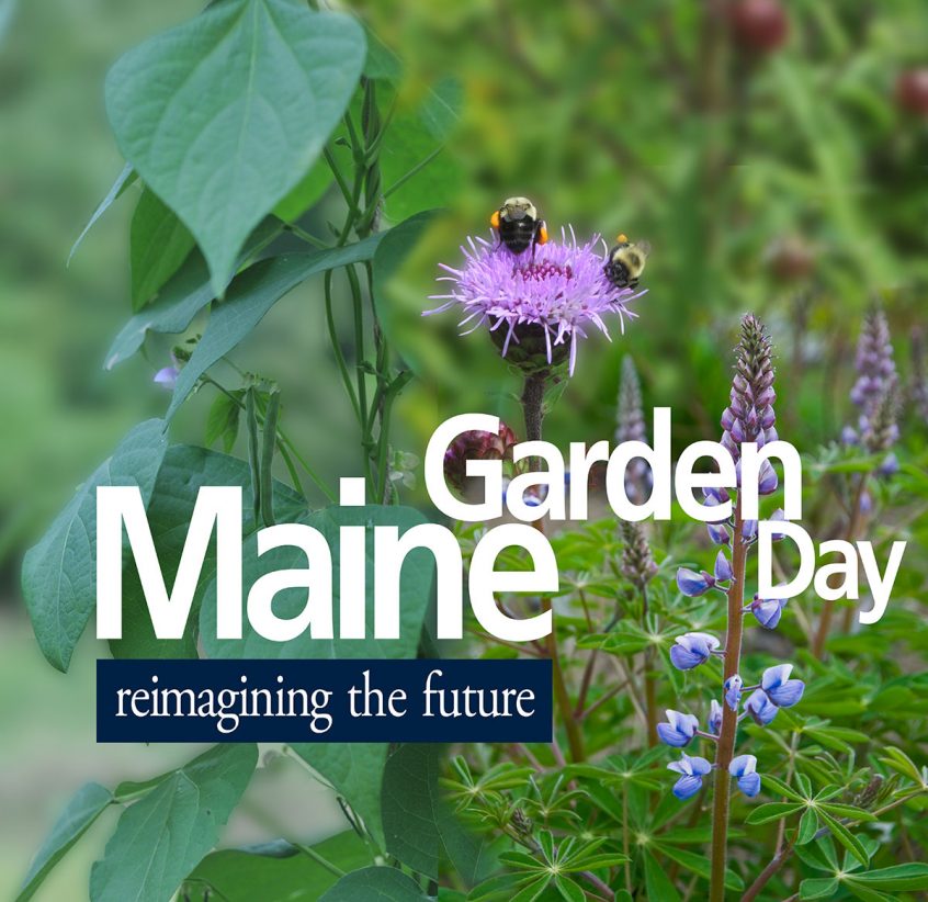2020 Maine Garden Day Cooperative Extension Garden & Yard