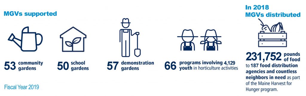 Illustration showing: MGVs supported 53 community gardens; 50 school gardens; 57 demonstration gardens; 66 programs involving 4,129 youth in horticulture activities; and in 2018 MGVs distributed 231,752 pounds of food to 187 food distribution agencies and countless neighbors in need as part of the Maine Harvest for Hunger program.