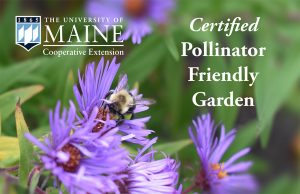 UMaine Extension Pollinator Friendly Garden sign
