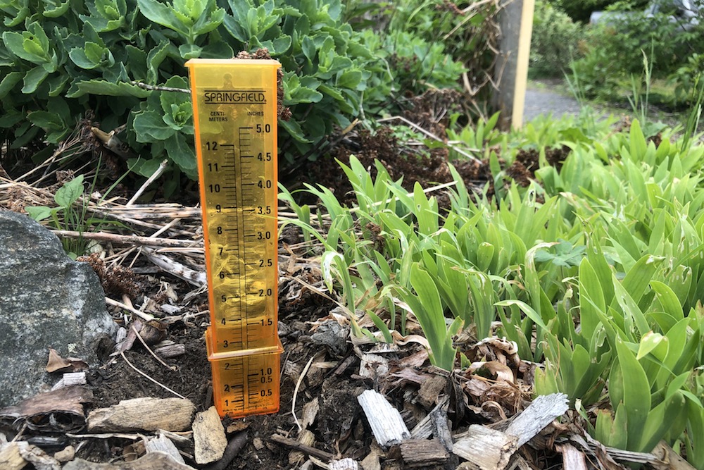 Rain gauge in garden