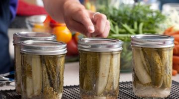 canned cucumber pickles