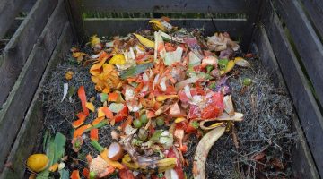 Food scraps on compost pile