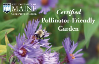 UMaine Extension Pollinator Friendly Garden sign