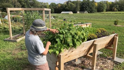 Raised bed at Rogers Farm Demonstration Garden