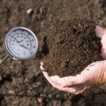 compost and thermometer
