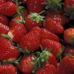 fresh strawberries
