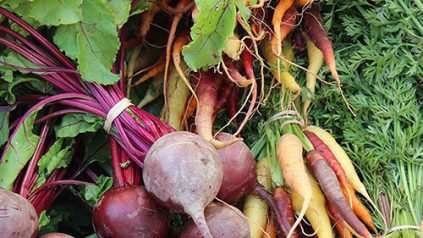 freshly harvested beets and carrots