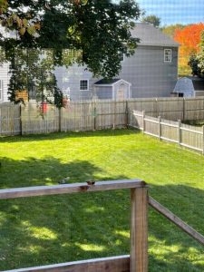 backyard with wooden fence, view off of a porch