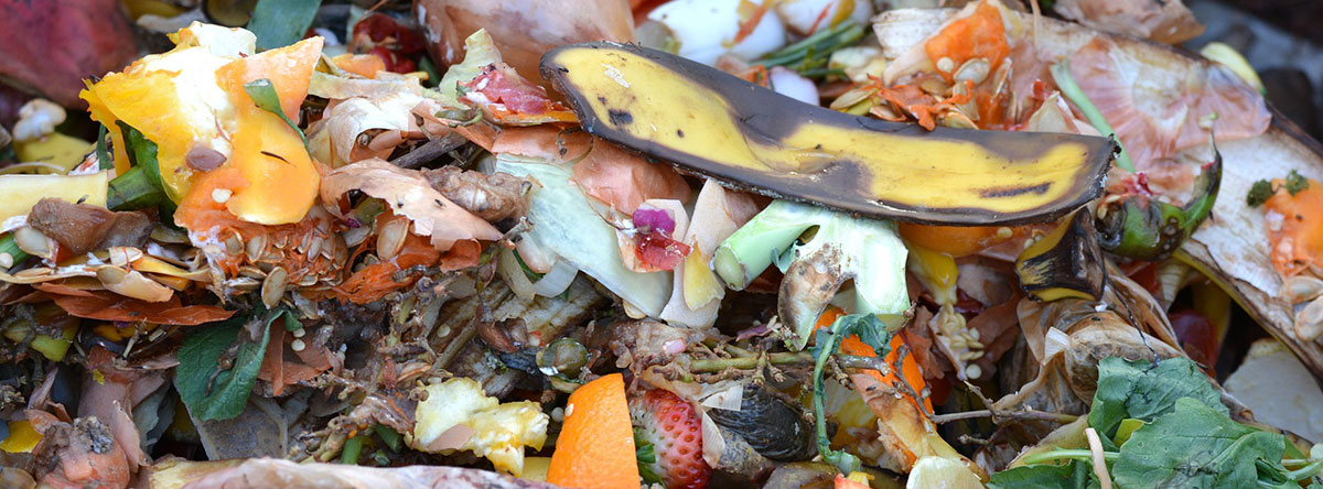 food scraps for composting