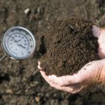 image of thermometer and hands holding soil an