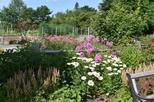 image of a flower garden with bench