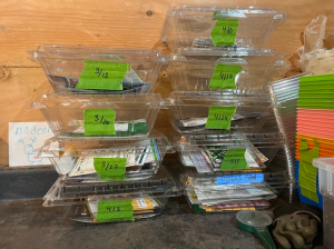 Clear plastic storage containers