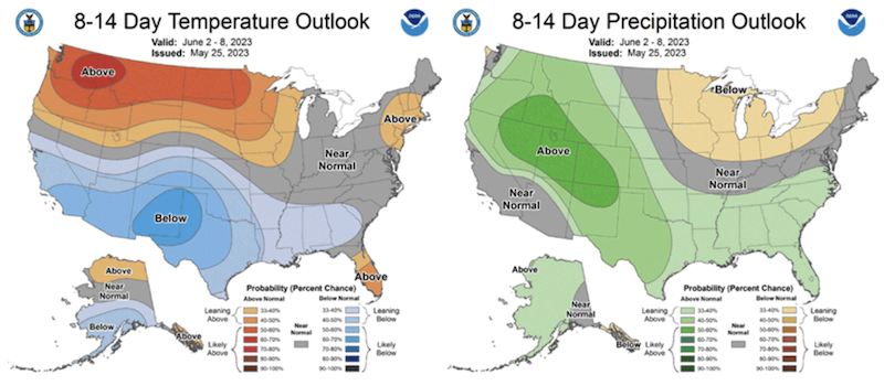 coded maps of the United States, 8-14 temperature and precipitation outlook