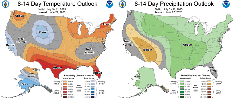 8-14 Day temp and precip outlook
