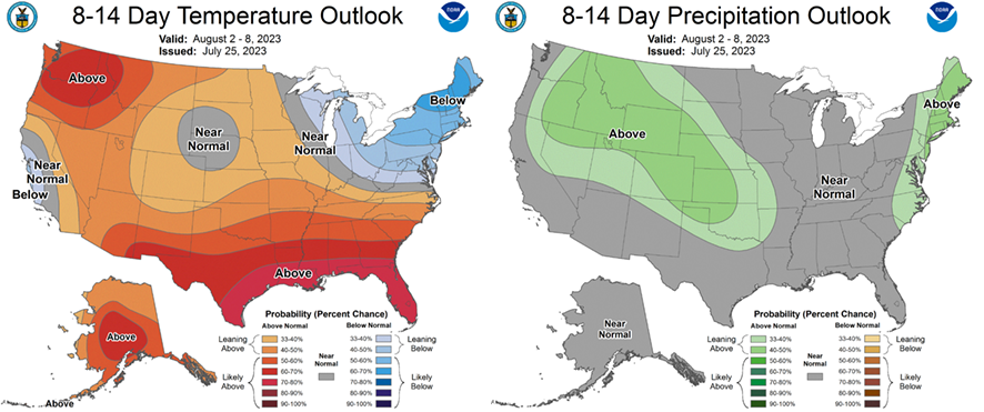 Maps of 8-14 day temperature and precipitation outlook. Descriptive text for this image is included in the content of this article.