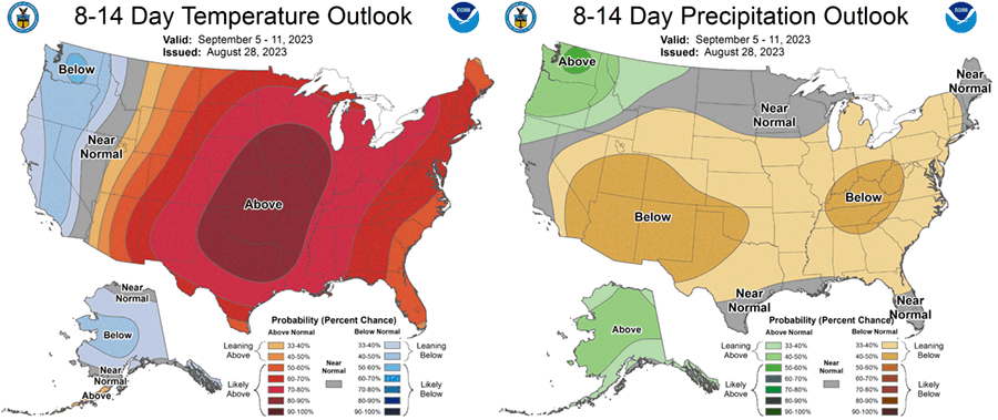 Maps of 8-14 day temp and precip outlook. Descriptive text for this image is included in the content article.