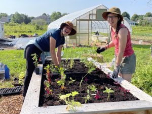 2 people planting in a raised bed with greenhouse in background