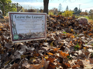 sign in a pile of leaves that reads "Leave the Leaves!"
