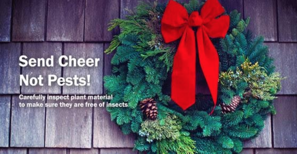 Picture of Christmas wreath with the message, "Send Cheer Not Pests! Carefully inspect plant material to make sure they are free of insects."