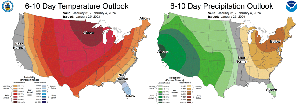 8-14 Day Temp and Precip outlook
