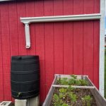 Rain Barrel and raised bed with plants