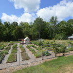 Low raised bed garden plots at the Sanford Community Garden