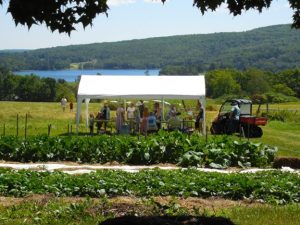 garden in foreground with white awning set up along the back edge of the garden. People milling around the tent and exploring a field beyond the tent. A body of water in the distance.