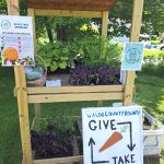 Produce in a wooden vegetable stand with sign for Waldo County Bounty Give and Take table