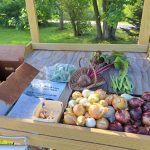 Produce in a wooden vegetable stand including