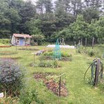 Garden area with watering station, garden shed, fencing, and various types of trellis