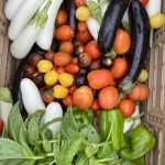 a colorful mixture of vegetables and herbs including tomato, eggplant, pepper, and basil