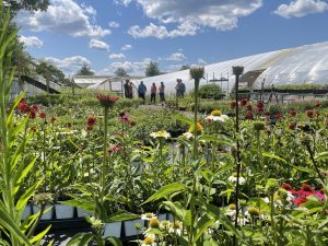 Commercial scale hoop houses and 7 people talking in the background with flowers in the foreground