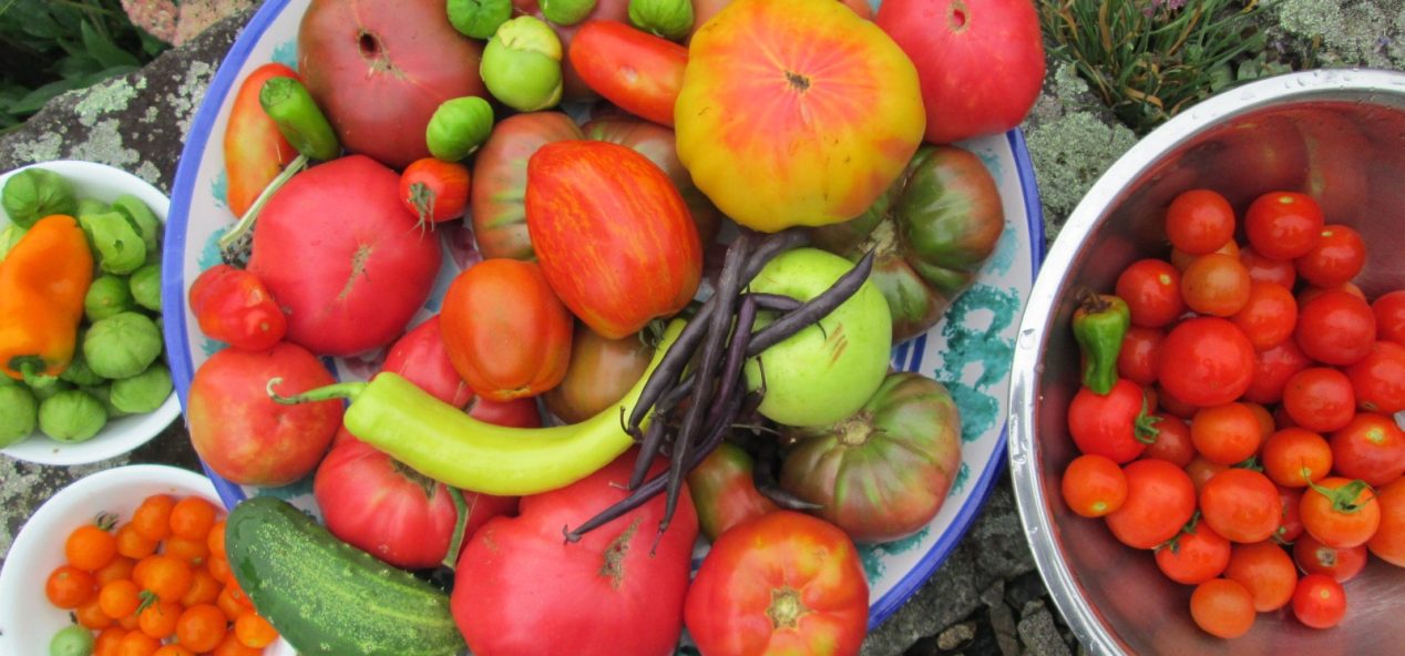 A large bowl full of tomatoes, cucumbers, peppers, and beans surrounded by three other bowls of tomatoes sitting on a large rocky area