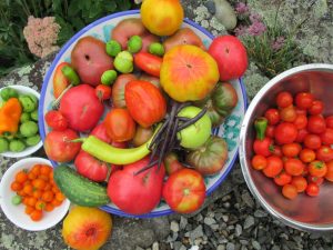 A large bowl full of tomatoes, cucumbers, peppers, and beans surrounded by three other bowls of tomatoes sitting on a large rocky area