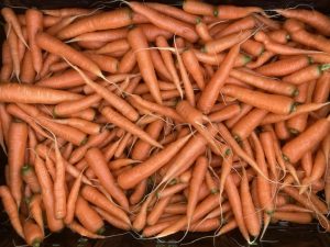 rate full of dozens of freshly harvested and cleaned orange carrots. 